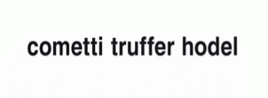 Logo Cometti Truffer Hodel